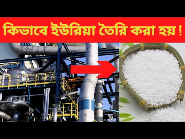 গোপন তথ্য সবার সামনে ! Urea Manufacturing Process in Fertilizer Industries ! Ak bangla ! Ko bangla