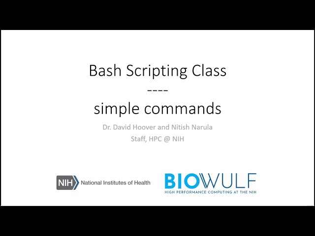 Bash Scripting Class: Simple Commands