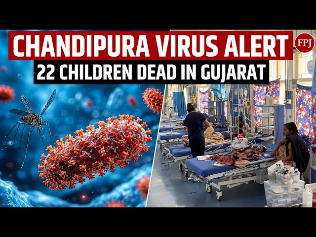 Gujarat Chandipura Virus Outbreak: 22 Children Dead, 35 Positive |  What Is This Fatal Brain Virus?