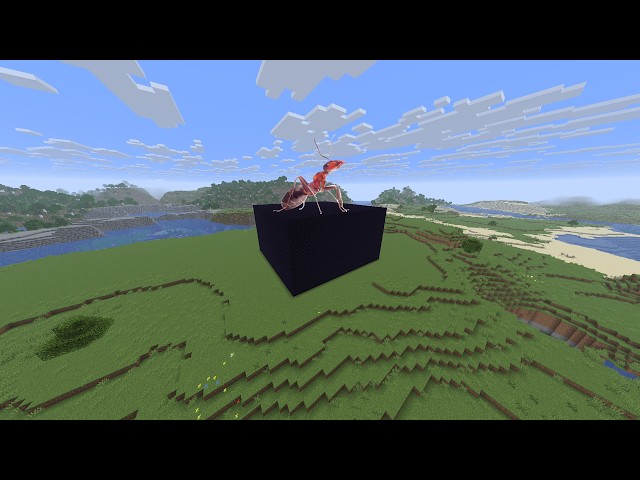 How you can protect your house (accidentally make a prison lol)