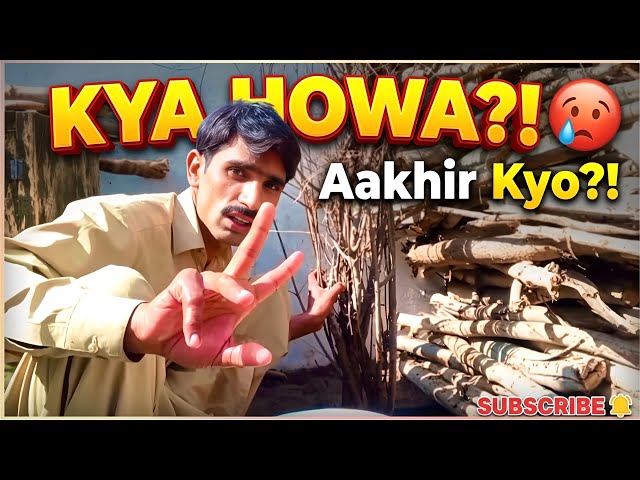 Aakhir keya howa😢😱#latifhanifvillagevlog #viralvideo #pakistanvlogger 