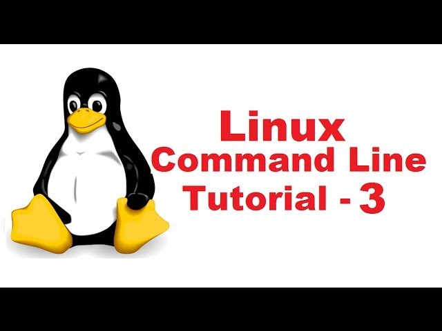 Linux Fundamentals/Shell Scripting -Part3|ps,kill commands #linuxcommands  #shellscript #ps #kill