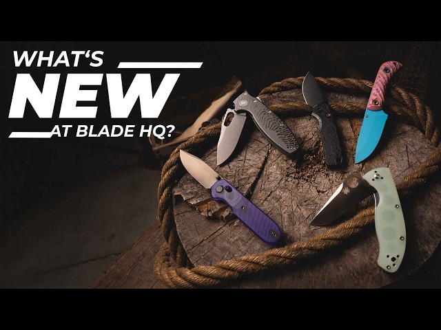 A Deep Dive On EVERY Knife! | New Knives 8/7/26