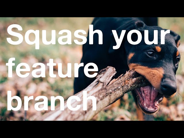 Squash your feature branch before a fast-forward merge! git rebase --interactive or git reset --soft