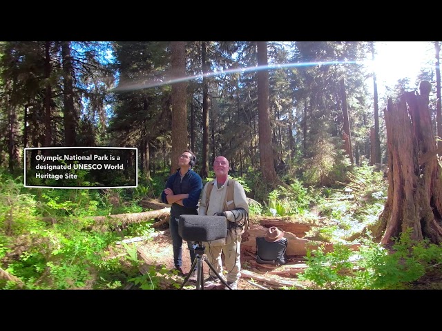 360 Video: Quietest place in America
