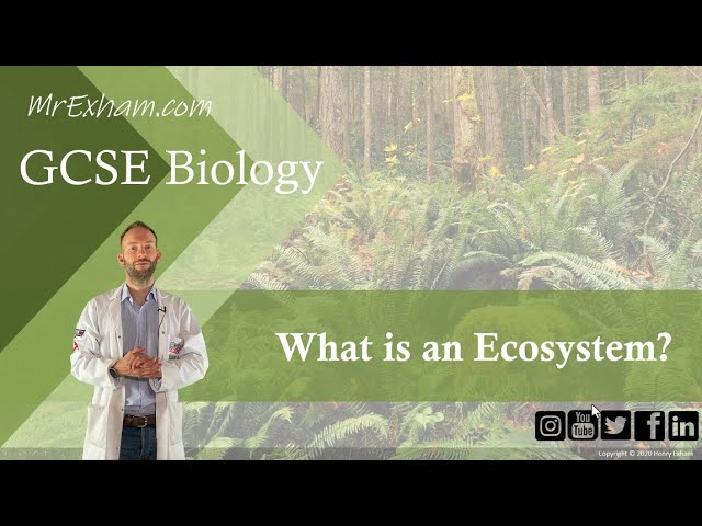 What is an ecosystem? - GCSE Biology (9-1) - 9.1