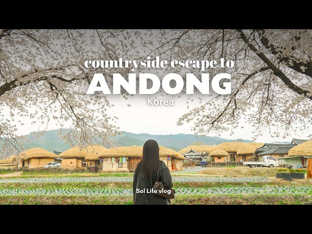 Exploring Korea's Historic Countryside | Andong Hahoe Folk Village & Cherry Blossoms