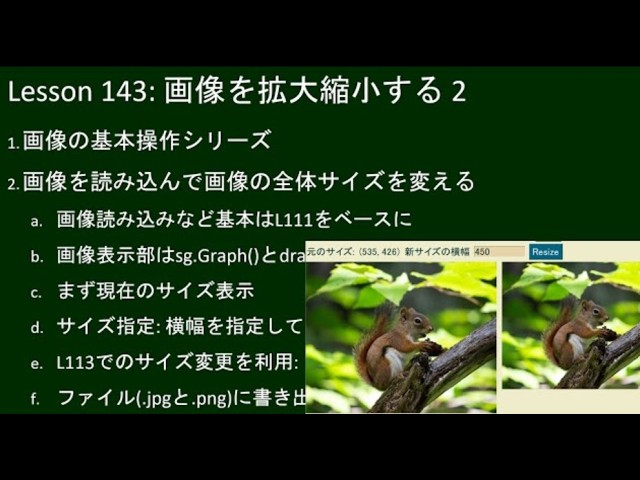 Resizing Images 2: Introduction to Python for Everyone #143