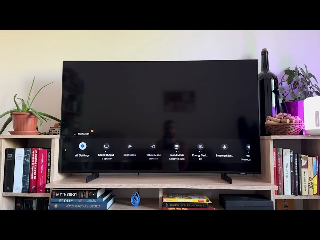 How to Disconnect from Internet on Samsung TV?