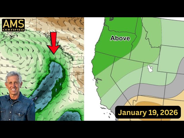 Dangerous Dense Fog in the Central Valley This Week — Is Rain Coming Soon?