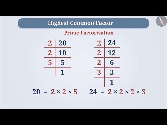 Highest common factor (HCF) and Lowest common multiple (LCM) | Part 1.1/3