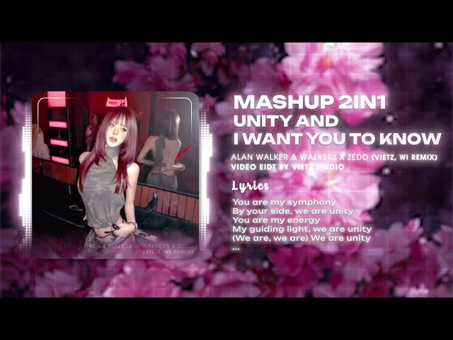 UNITY X I WANT YOU TO KNOW X SUMMERTIME (VIETZ X WI. REMIX) | ALAN WALKER x ZEDD ft. SELENA GOMEZ