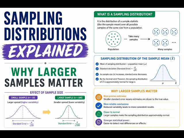 Sampling Distributions Explained | Why Larger Samples Matter