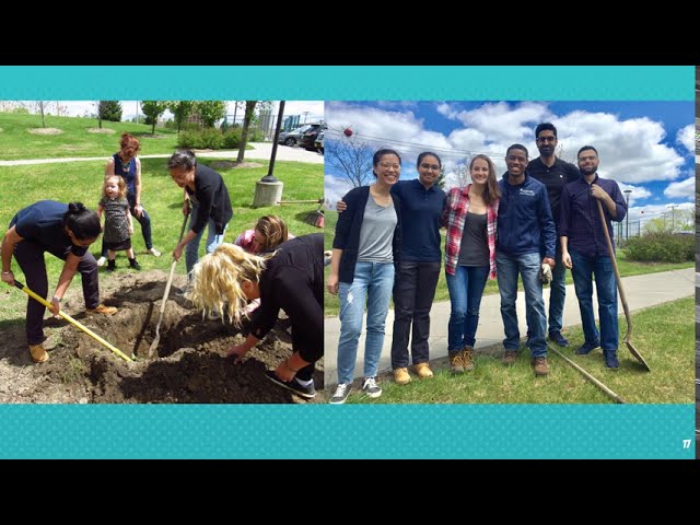 Professional development