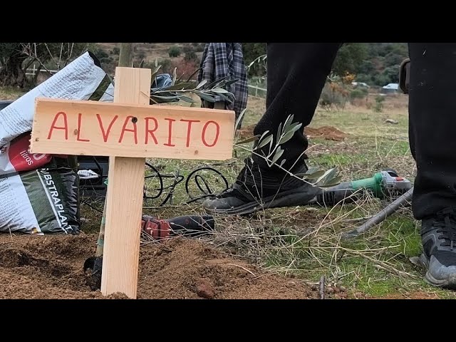 DON'T WATCH IF YOU'RE SENSITIVE 😭