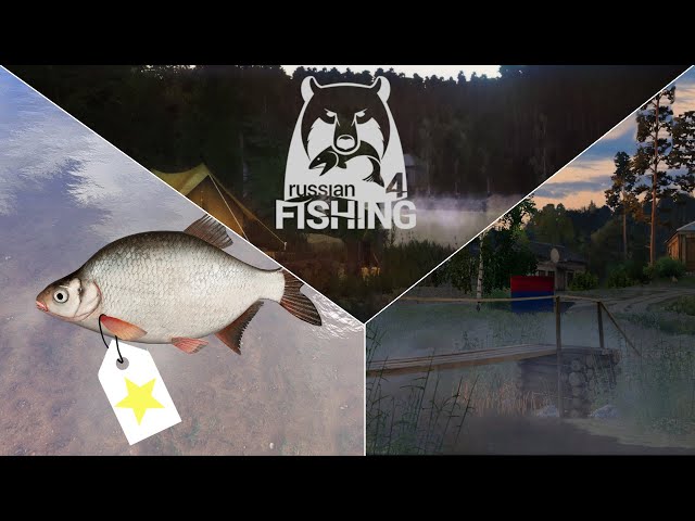 Trophy Hunt for Whitefish - Honorary Fishermen Windenbach | Russian Fishing 4