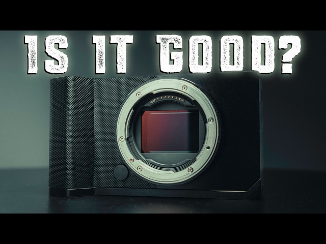 I shot on ONLY the SIGMA BF for 30 Days - here's what i learned
