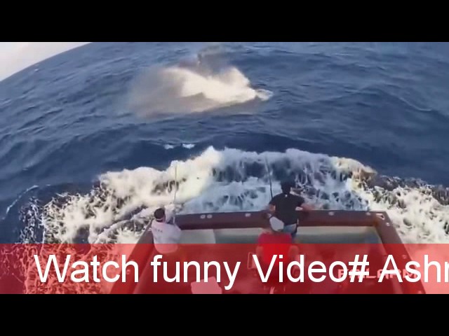 My Edited Video