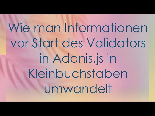 Wie man Informationen vor Start des Validators in Adonis.js in Kleinbuchstaben umwandelt