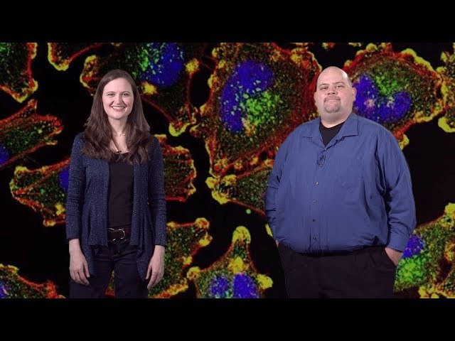 Bioimage Analysis 1: The Basics: Getting Started (Anne Carpenter and Kevin Eliceiri)