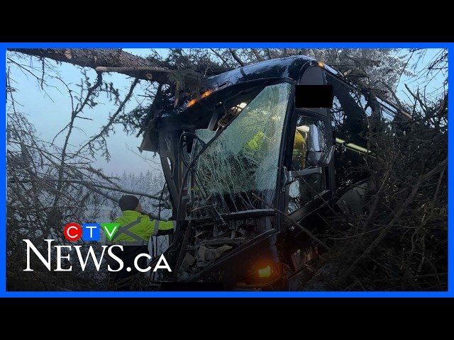 Junior hockey team bus CRASHES after driver loses control