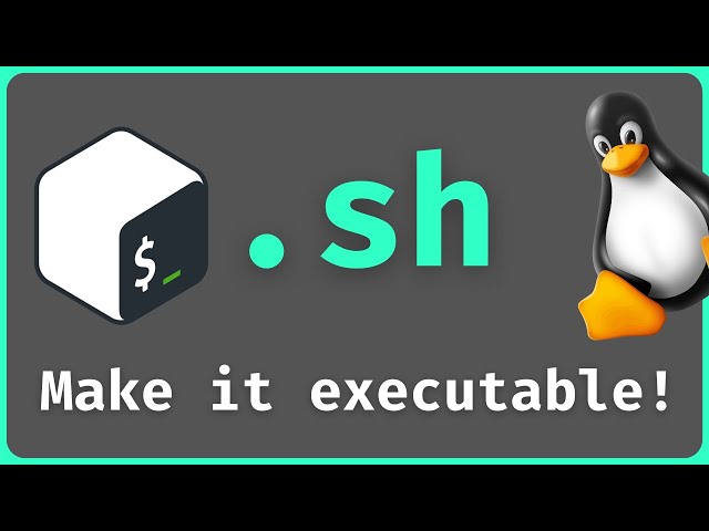 How to Create & Execute a Bash Script in Linux (.sh file)