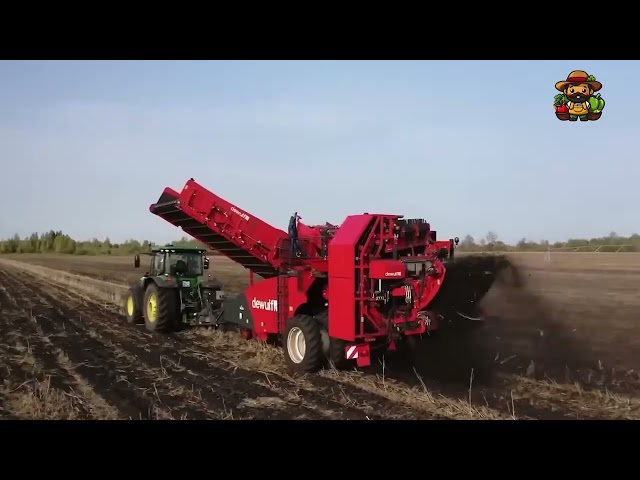 🔍 Inside a Mega Factory: How French Fries Are Made! 🍟
