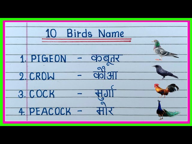 10 pakshiyon ke naam | 10 birds name english and hindi | birds Name in english | birds name