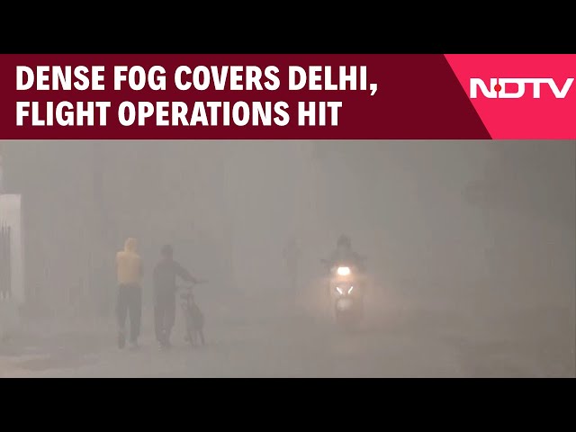 Delhi Fog Today | Delhi-NCR Remains Shrouded In Dense Smog, Air Quality Stays in ‘Severe’ Category