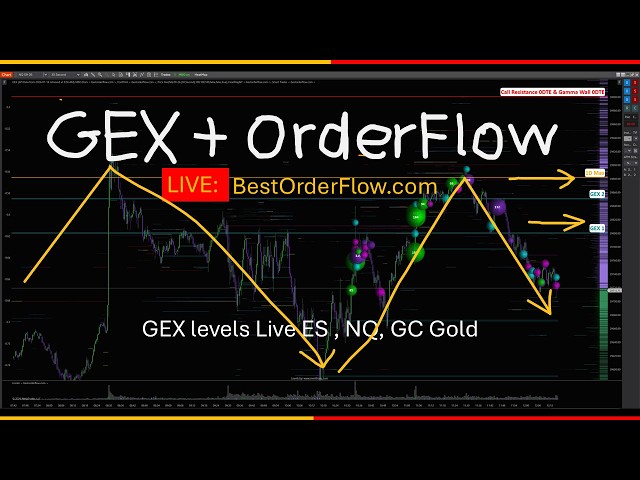 LIVE NQ Futures  + GEX Levels + OrderFlow Heatmap + Big / Smart Trades  https://bestorderflow.com