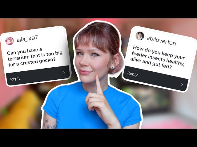 Reptile Expert Answers ALL Your Care Questions