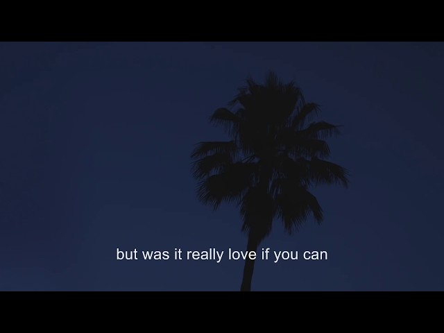 LANY - Thick And Thin (lyric video)