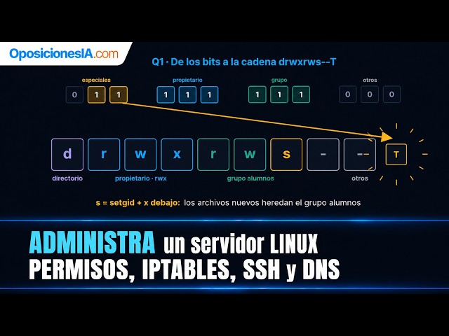 MANAGE a Linux server | Civil service and vocational training exercise | Permissions, IPTABLES, S...
