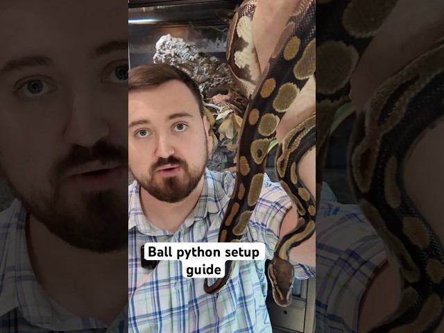 Ball Python Setup Guide
