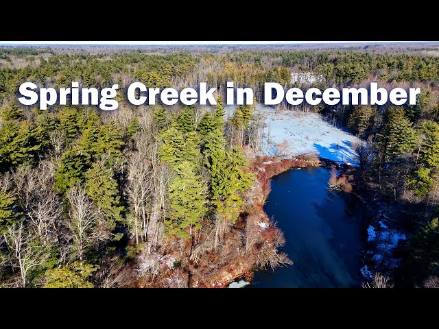Spring Creek in December | Quiet Water, Early Winter Light