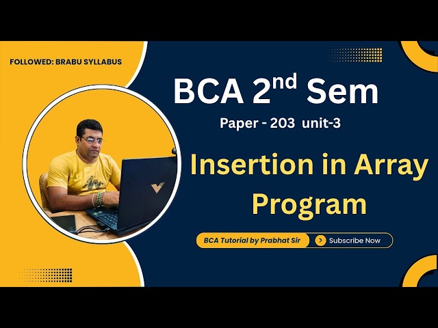 Program Insertion in Array1