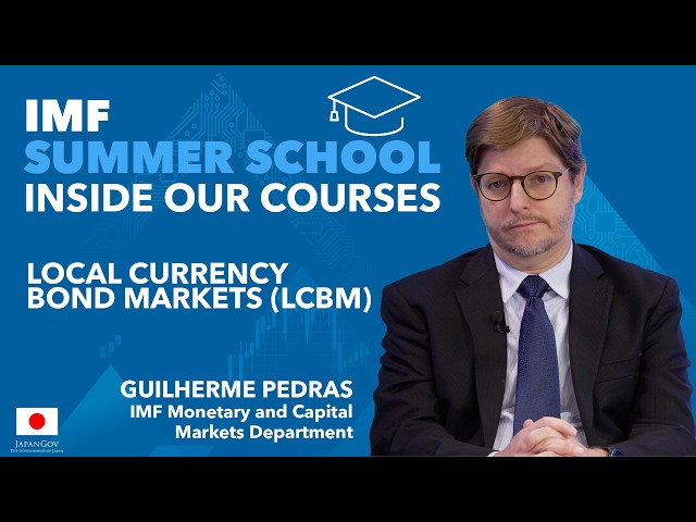 Local Currency Bond Market Development (LCBMx)