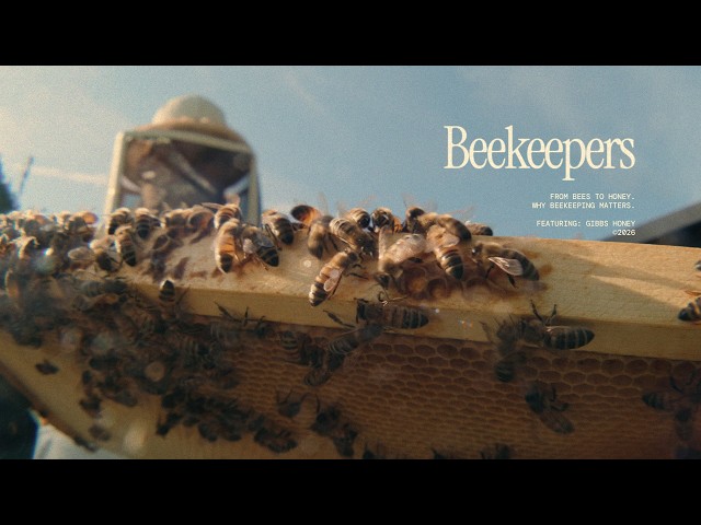 Beekeepers - Mini doc