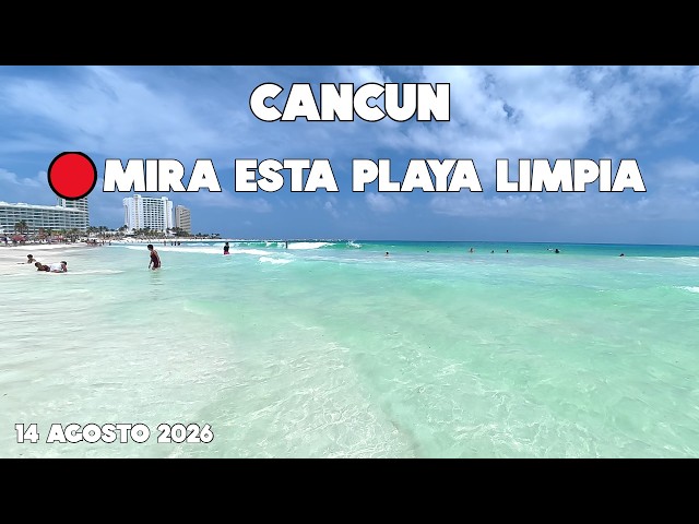 Cancún Playas Hermosas❤️El Sargazo Empieza a Desaparecer 14 Agosto 2026