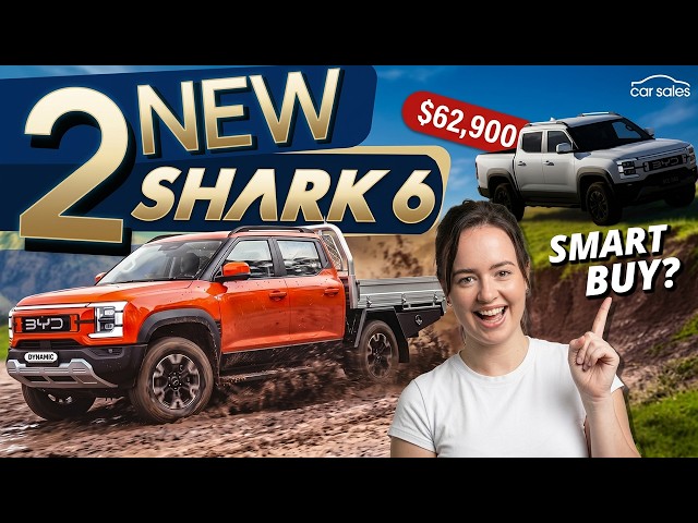 2026 BYD Shark 6 Performance | Why 75% of You Might BUY the WRONG Ute!