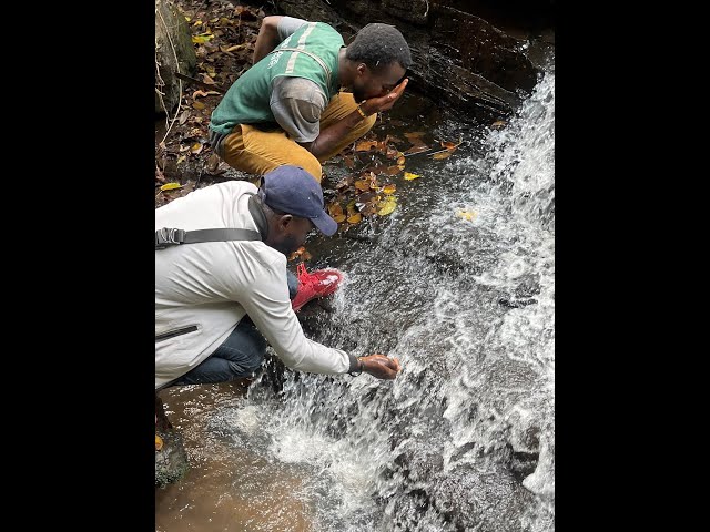 The Virgin Waterfalls we discovered.