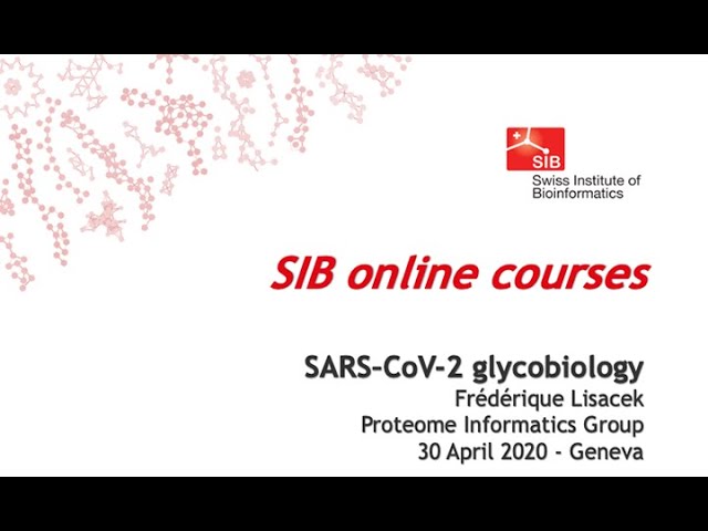 SARS-Coronavirus-2 glycobiology