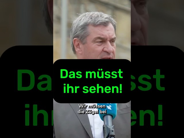 🔴 Speechless 🔴 #afd #cdu #csu #greens #theleft #spd #german #politics #monetarypolicy
