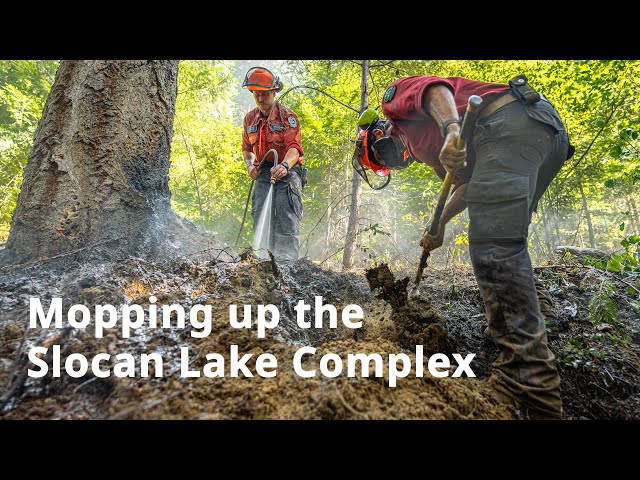 Importance of mop-up for wildfire containment