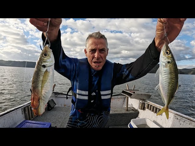 Mulloway Livebait vs deadbait big results! Catch & Cook