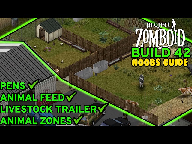 How To FIND & CARE For Animals In Project Zomboid Build 42 Noobs Guide | Week 5