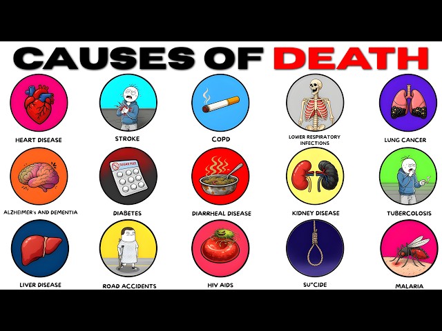 Every Common Cause of Death & How to Avoid It, Explained
