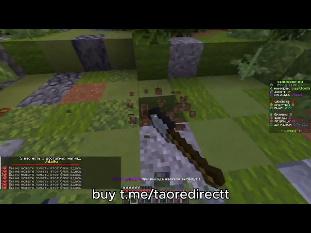 👾SinusSMP VS TAONET (400 GBPS) | how to crash minecraft servers + SHOWCASE