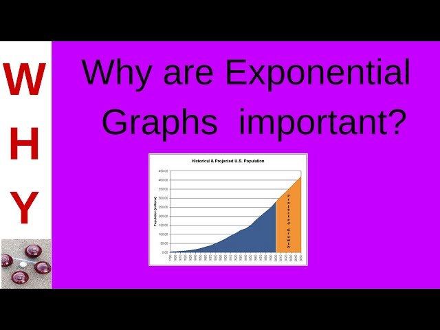 Relevance of Exponential Graphs