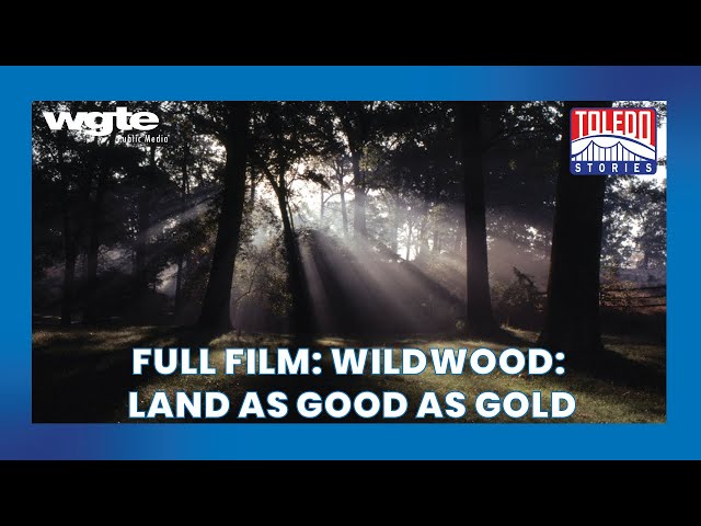 The Fight to Preserve The Wildwood Preserve’s Stately Manor House | Toledo Stories | Full Film